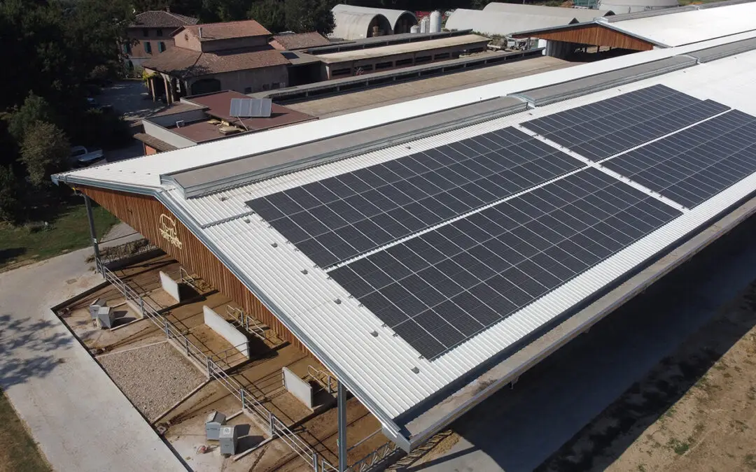 Azienda Agricola Ponte Ghiotto