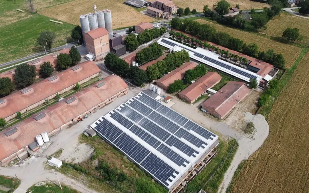 Società Agricola La Fortezza